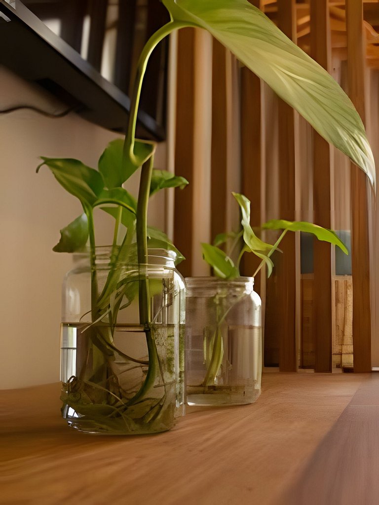 Mar Dá Liberdade 206 com Piscina Privativa