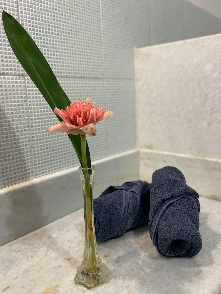 Casa Manga - Mesa de Sinuca e Jardim