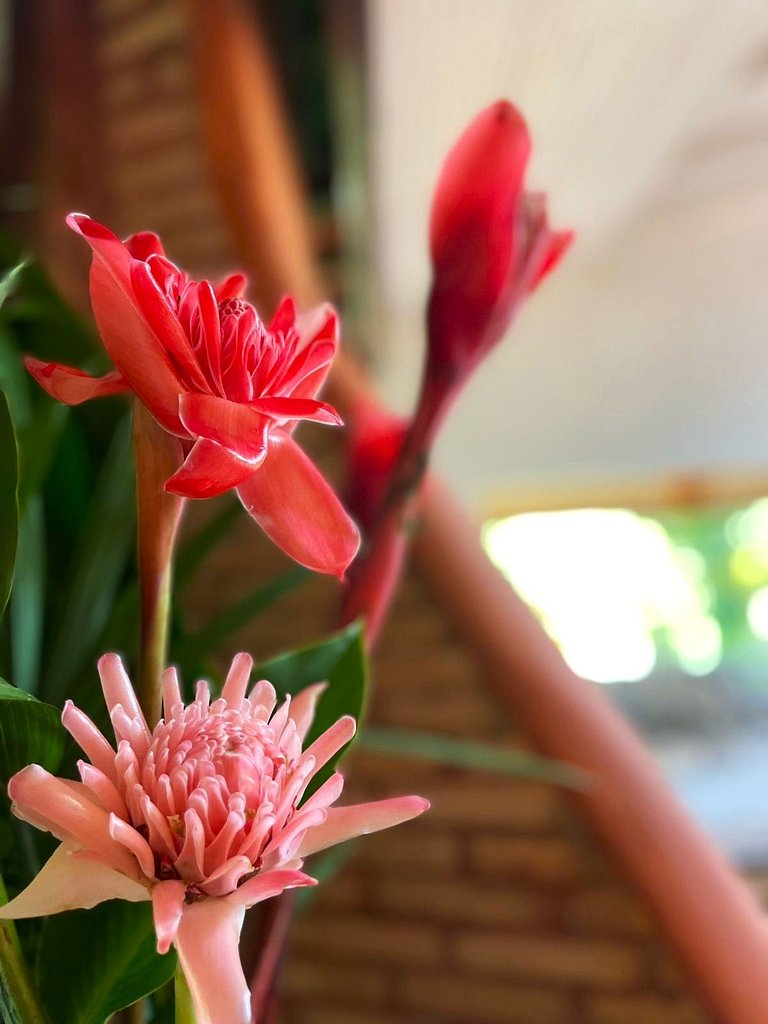 Casa Manga - Mesa de Sinuca e Jardim