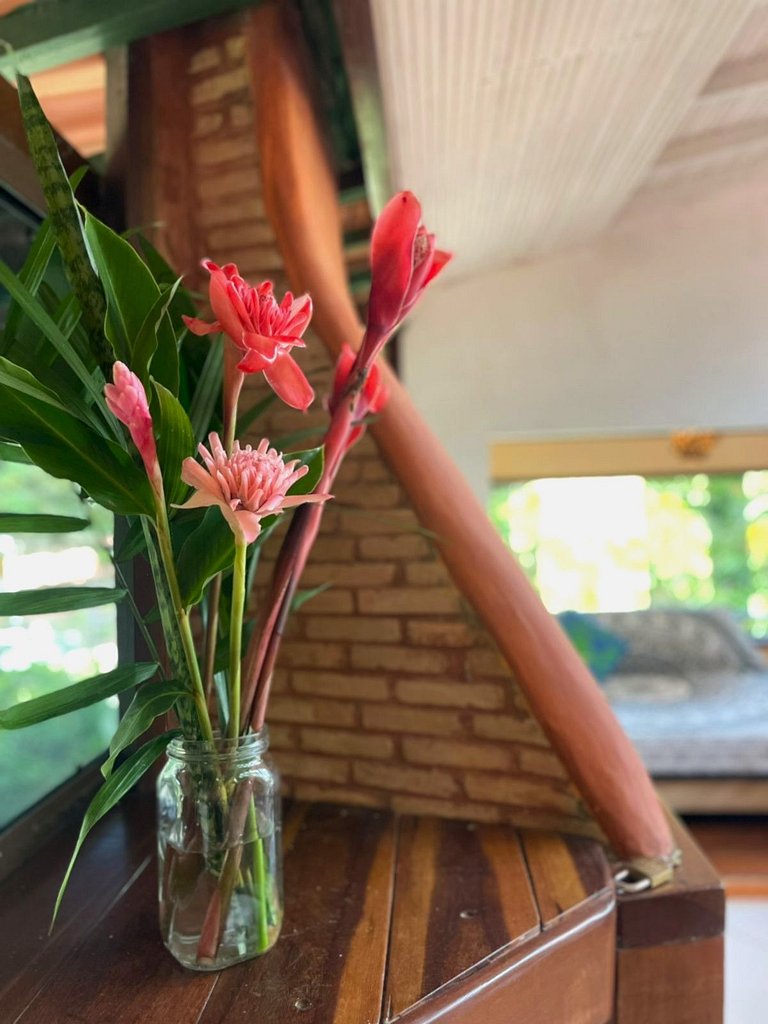 Casa Manga - Mesa de Sinuca e Jardim